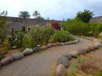 San Ignacio Mission Garden